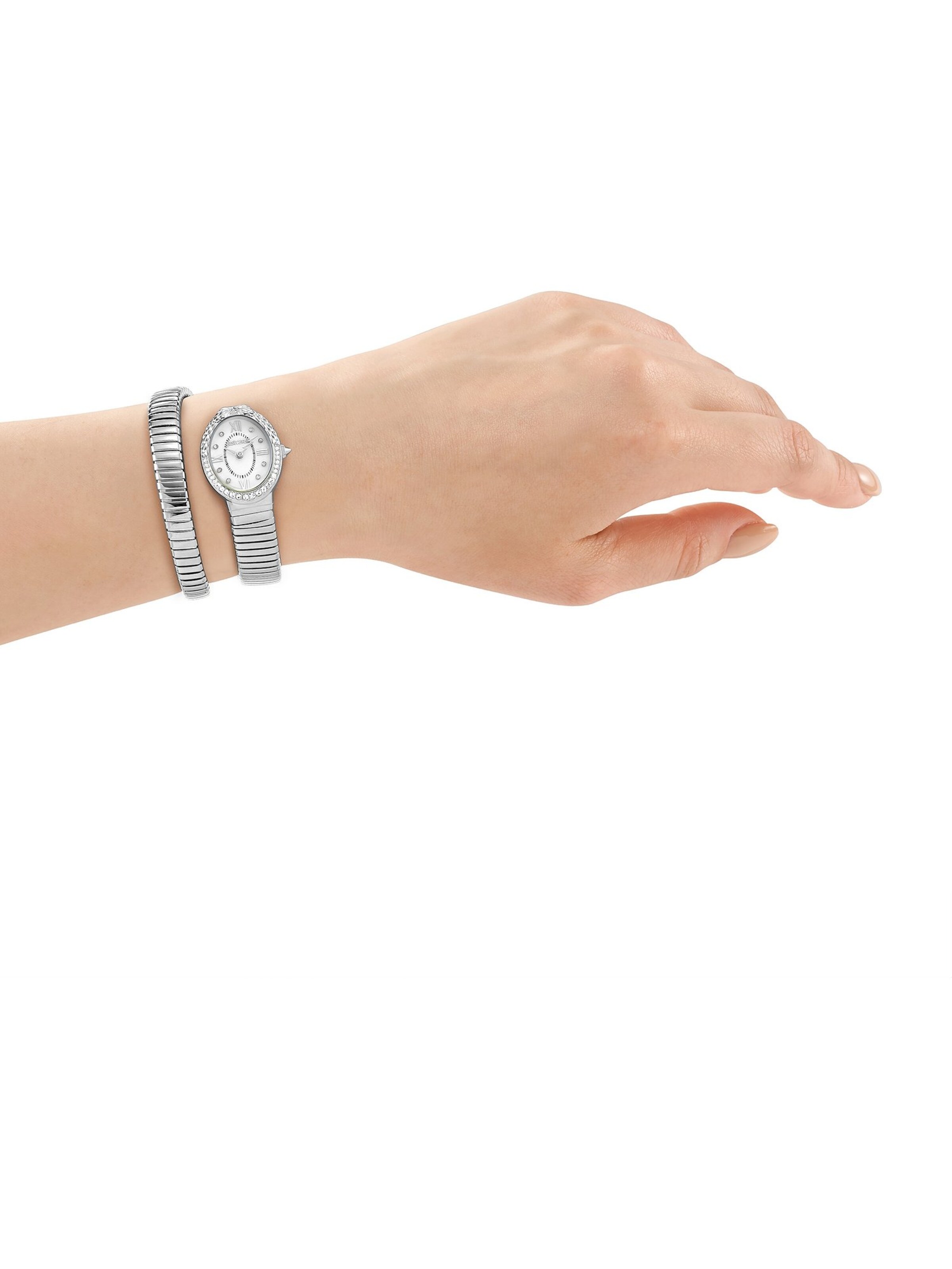 Just Cavalli Uhr in Silber: Vorderseite
