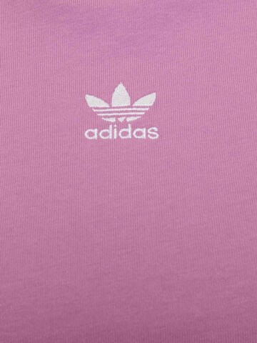 ADIDAS ORIGINALS Shirt 'Essentials' in Purple