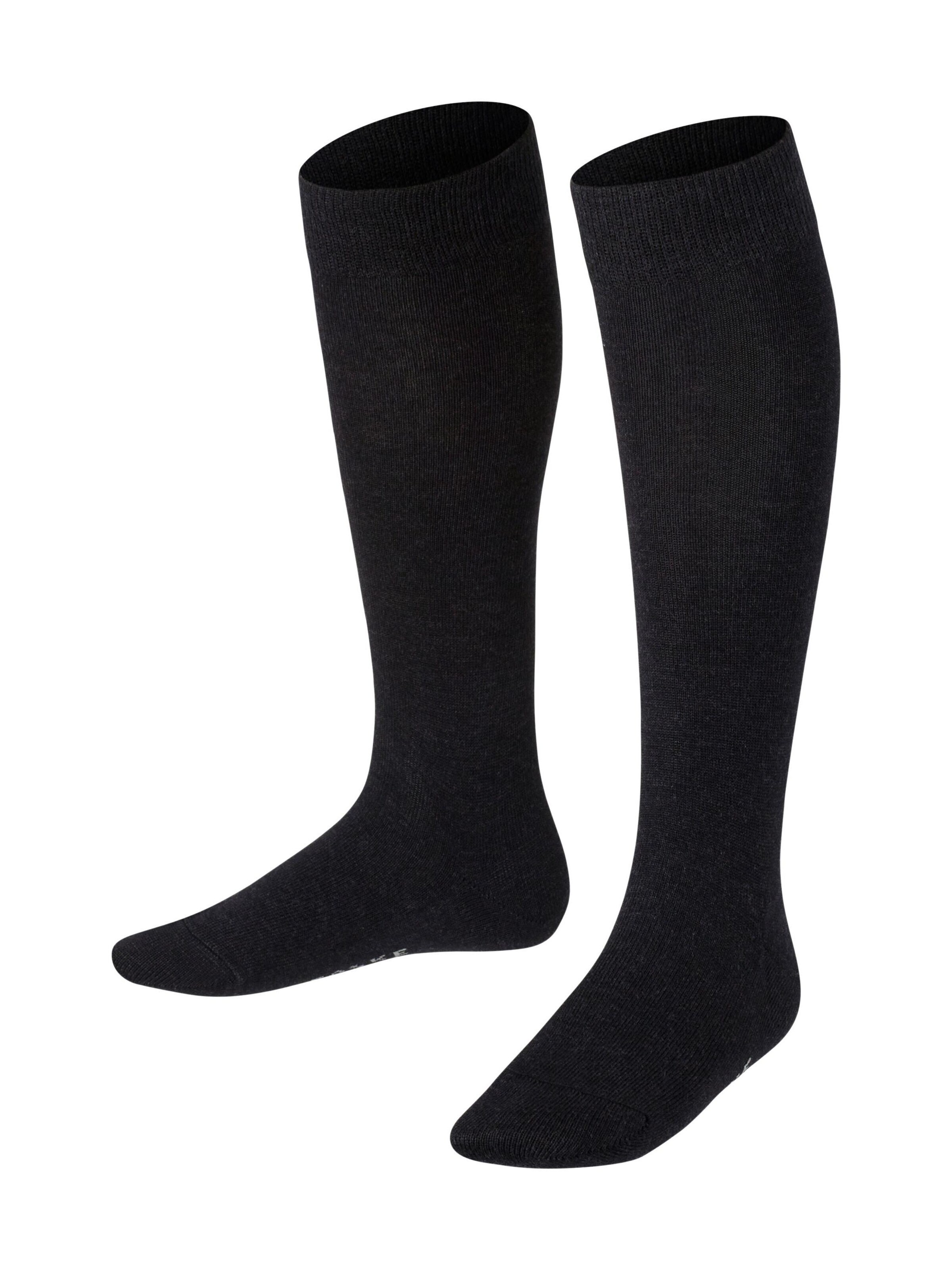 FALKE Socks 'Family' in Grey