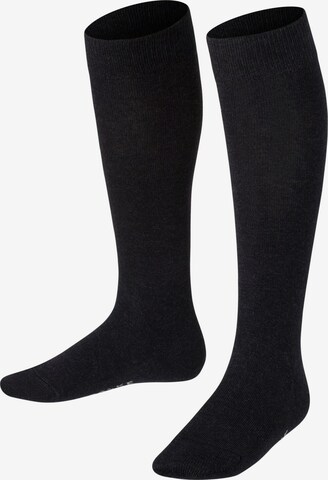 FALKE Socks 'Family' in Grey: front