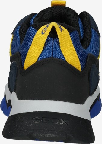 GEOX Sneaker in Blau