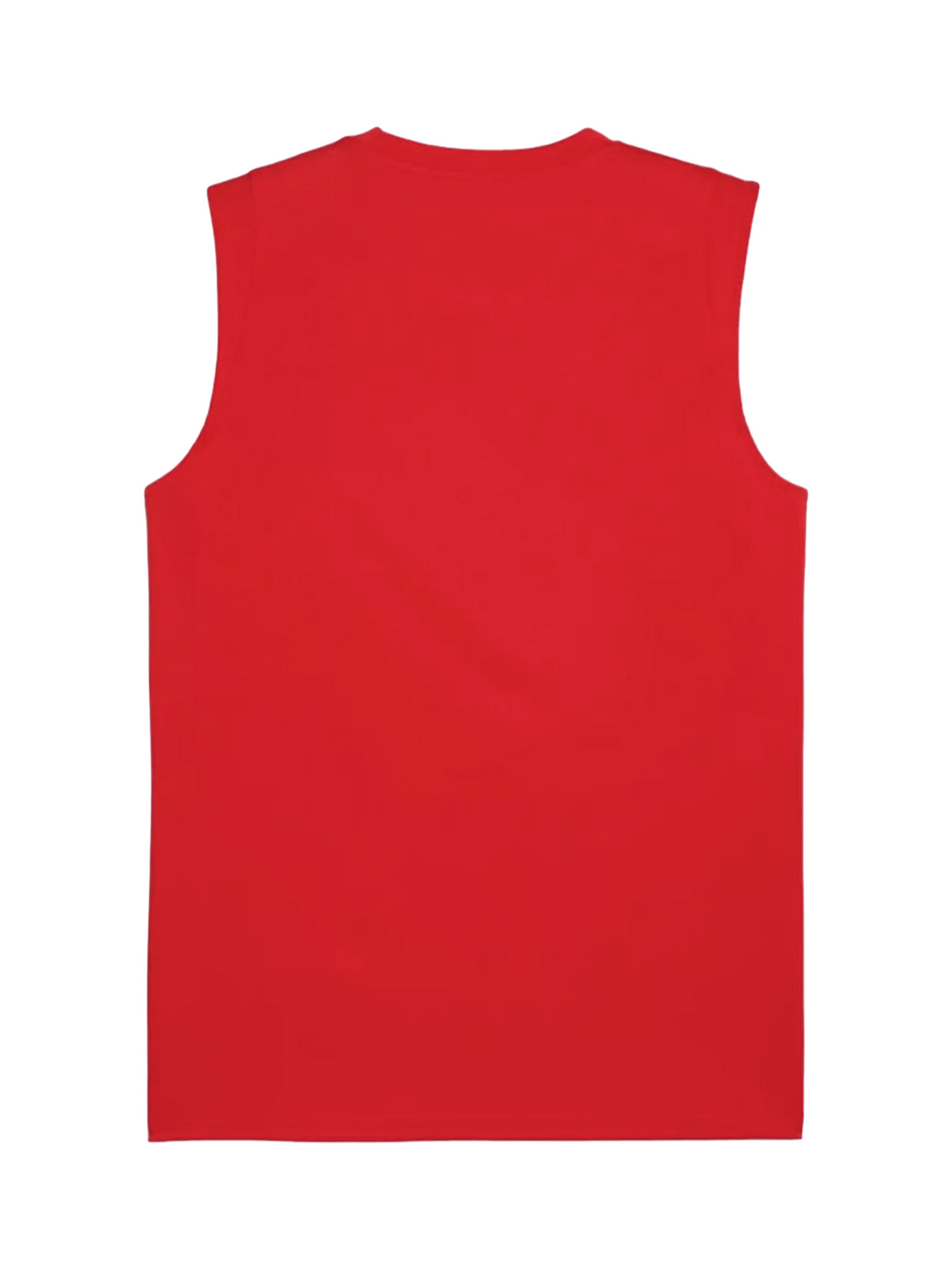 PUMA Trikot 'teamCUP' in Rot