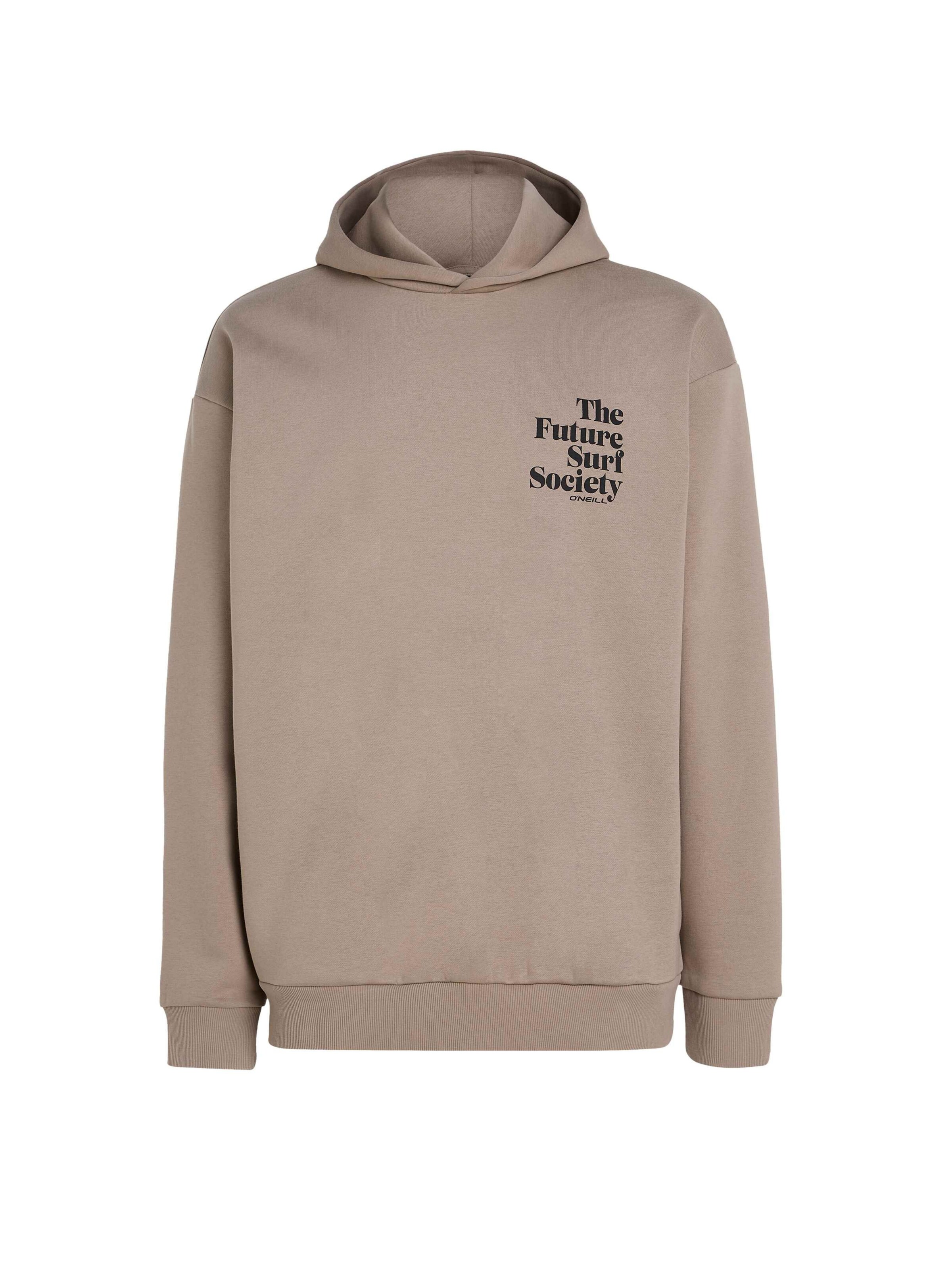 Sweat-shirt 'Future Surf Society' O'NEILL en marron : devant