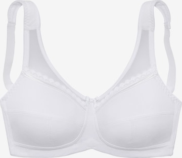 LASCANA T-shirt Bra in White: front