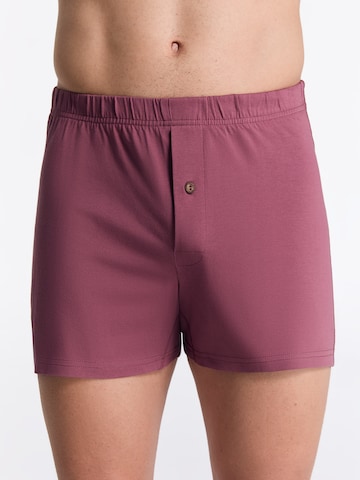 Albero Natur Boxershorts in Gold: Vorderseite