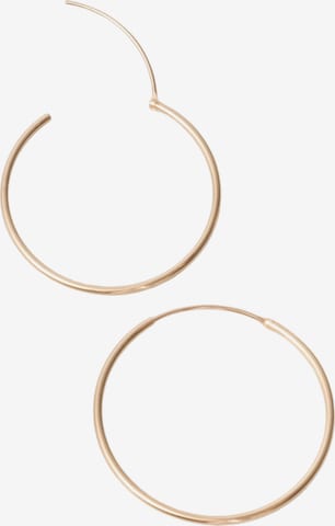 Boucles d'oreilles fejn en or : devant