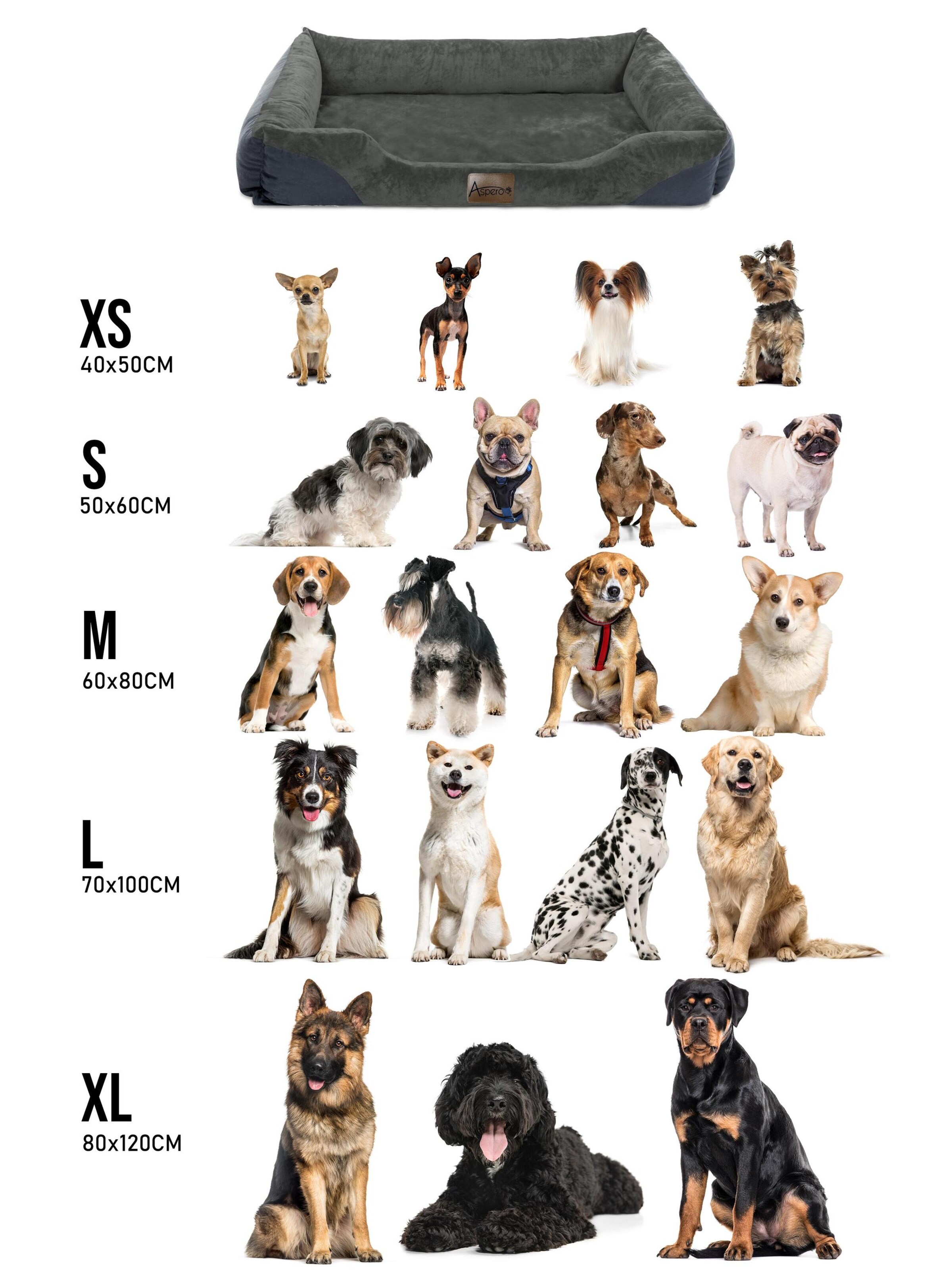 Aspero Pet accessories 'Hanko' in Grey