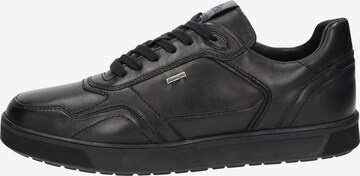 SIOUX Sneaker 'Tedroso' in Schwarz