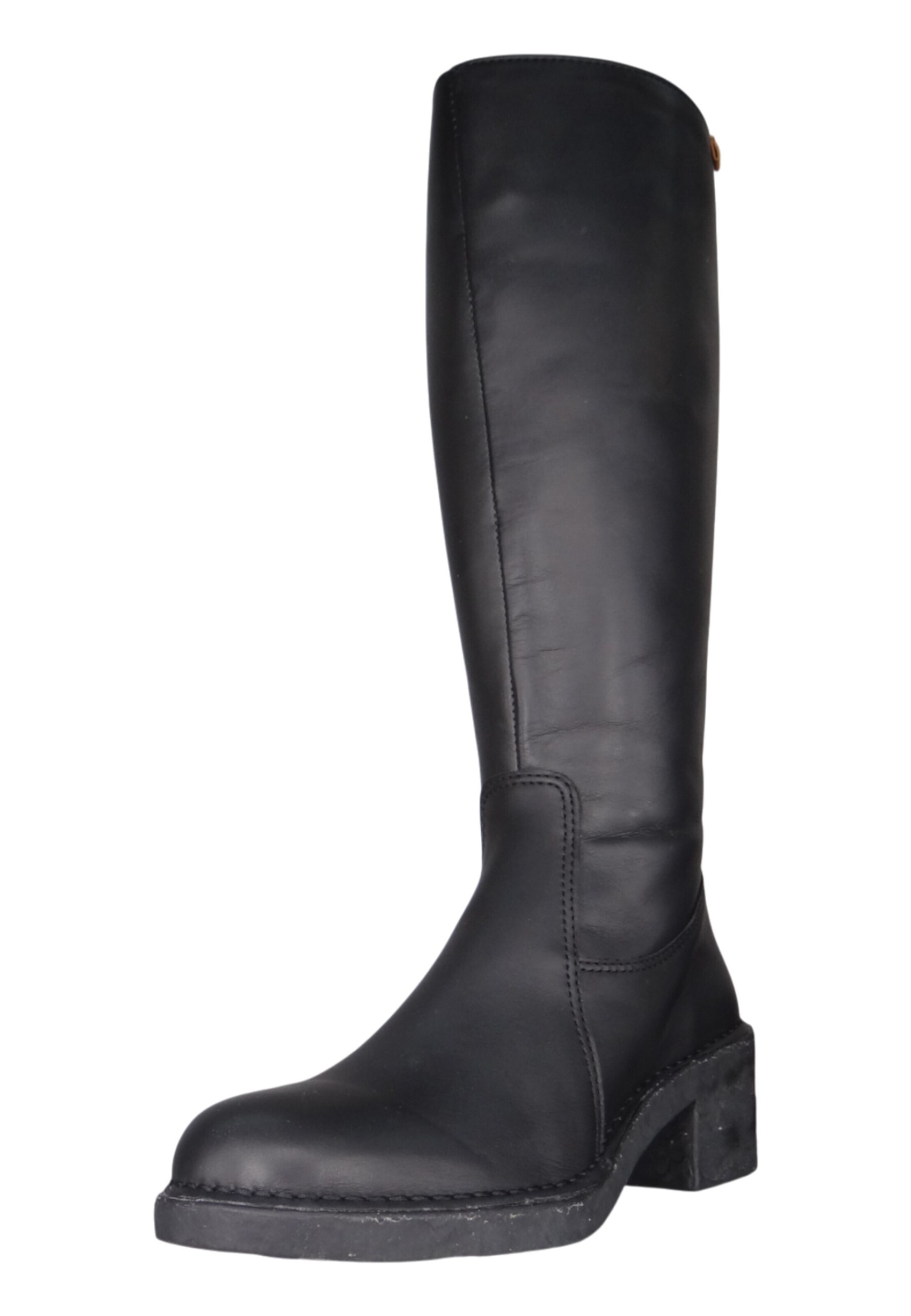EL NATURALISTA Boots in Zwart