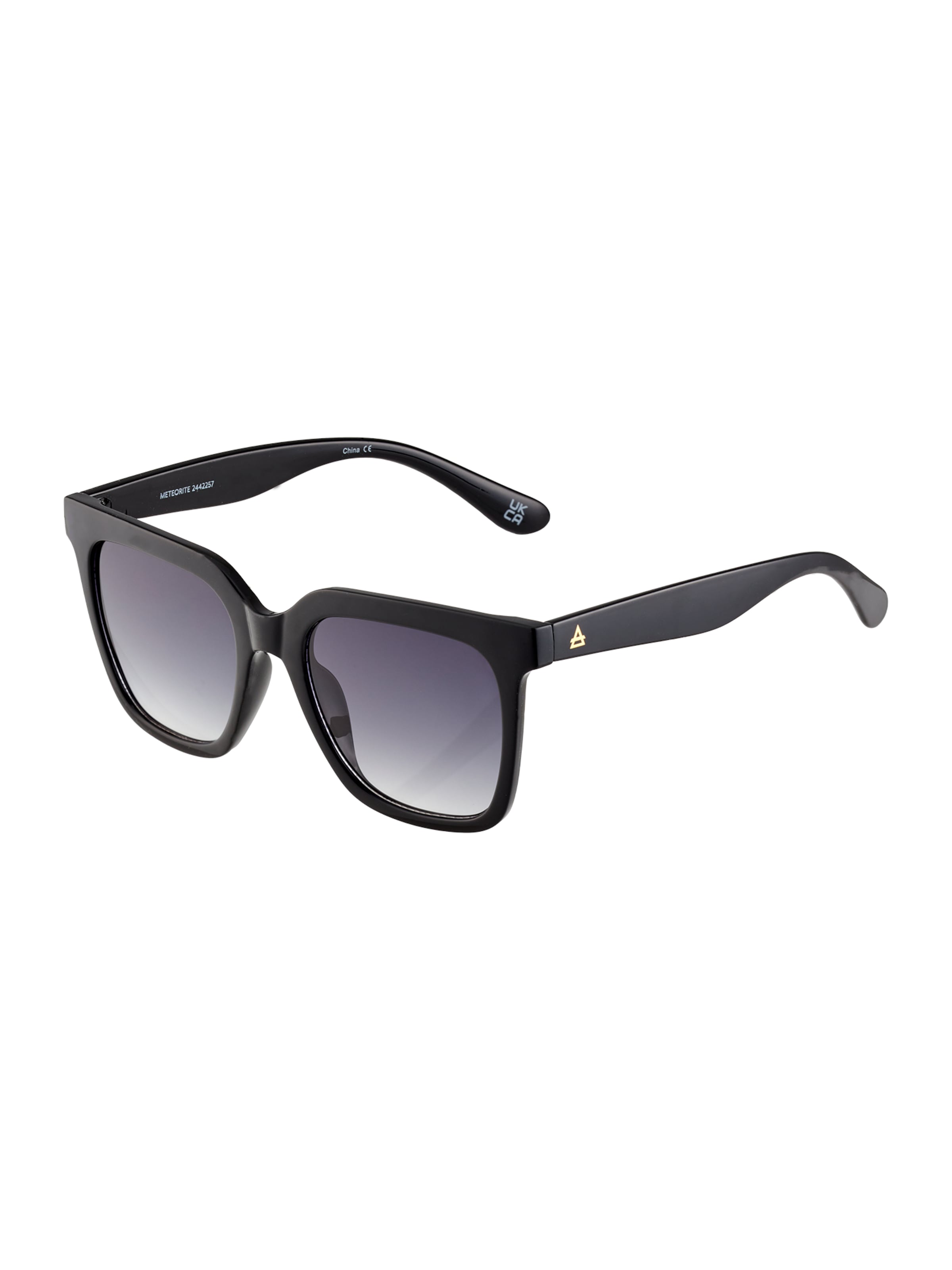 Aire Sunglasses 'METEORITE' in Black: front