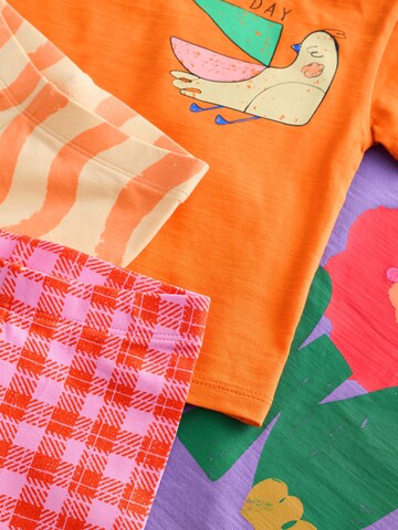 Next Set: T-Shirts und Shorts in Mischfarben