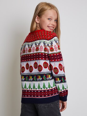Threadboys Sweater 'Reindeer' in Red