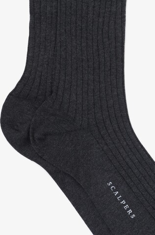 Chaussettes Scalpers en gris