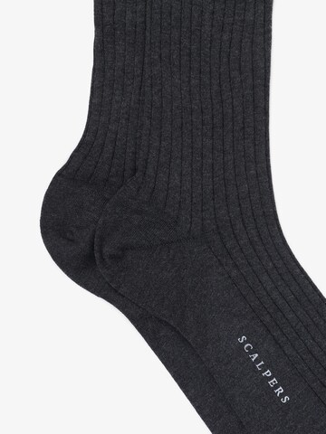 Scalpers Socken in Grau
