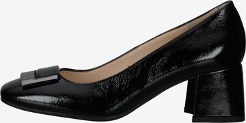 Nero Giardini Pumps in Schwarz