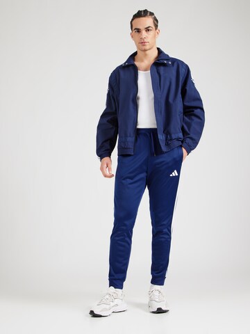 ADIDAS SPORTSWEAR Tapered Παντελόνι φόρμας σε μπλε