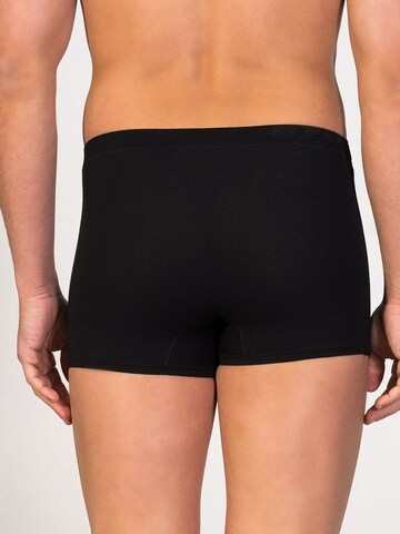zd ZERO DEFECTS Boxer shorts 'Ikaria Trunk' in Black