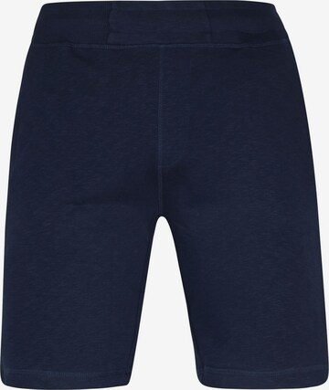 Suitable Regular Hose 'Luke' in Blau: Vorderseite