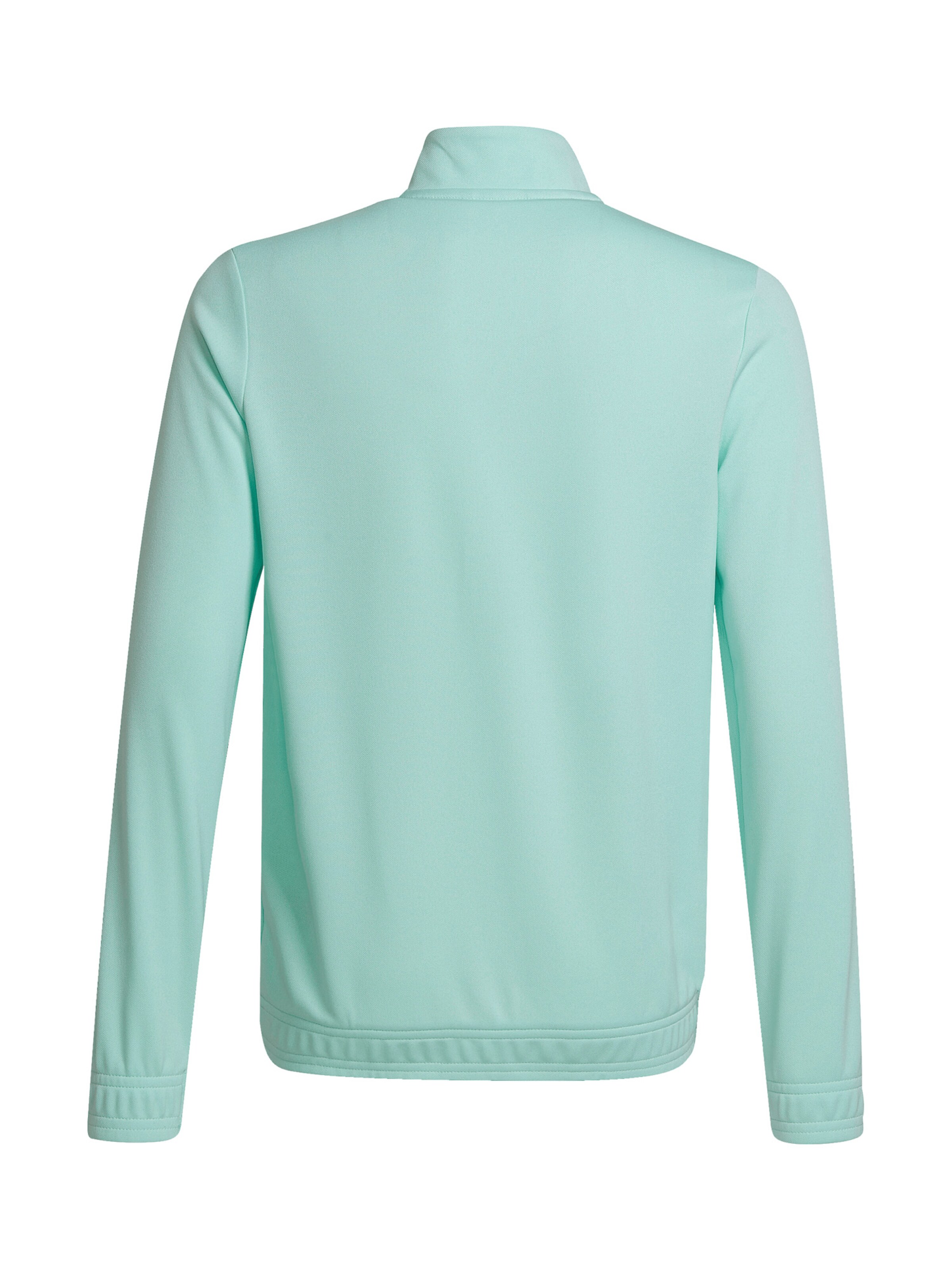 Geacă sport 'Entrada 22' de la ADIDAS PERFORMANCE pe verde