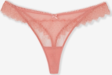 ETAM String in Pink: Vorderseite