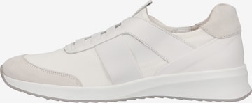 Högl Sneakers in White: front