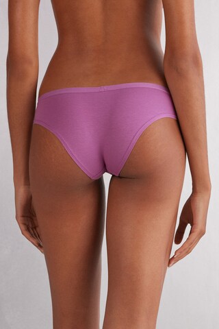 INTIMISSIMI Slip in Lila