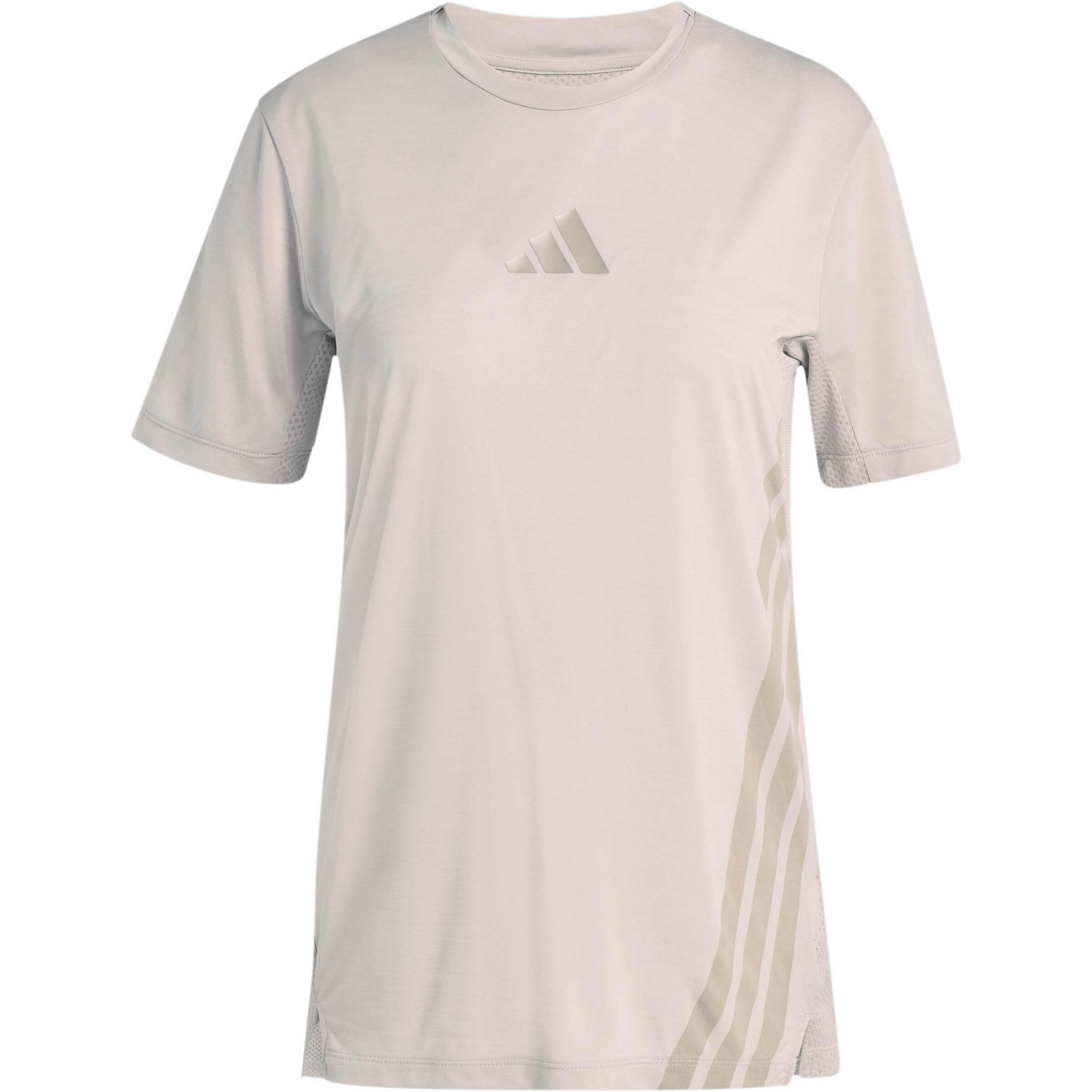 ADIDAS TERREX Funktionsshirt in Beige: Vorderseite