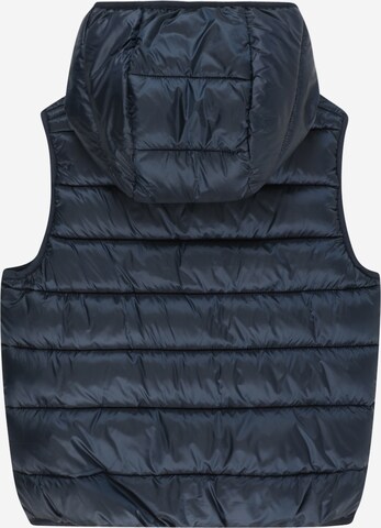 Gilet 'Legacy' di Champion Authentic Athletic Apparel in blu
