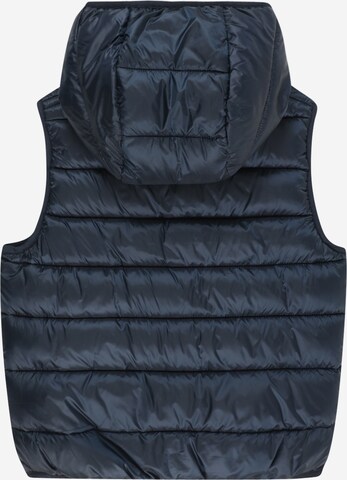 Champion Authentic Athletic Apparel Vest 'Legacy' i blå