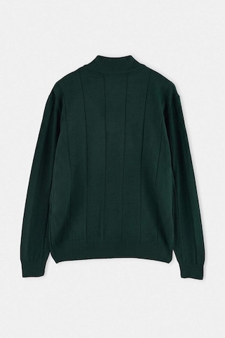 Trendyol Pullover in Grün