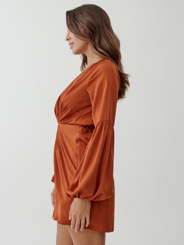 Tussah Kleid 'EMERIE' in Bronze: zadná strana