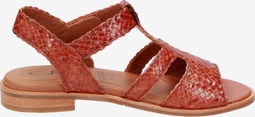 SIOUX Sandals ' Cosinda-702 ' in Brown