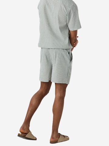 Seaside Regular Pants 'Dylan' in Green