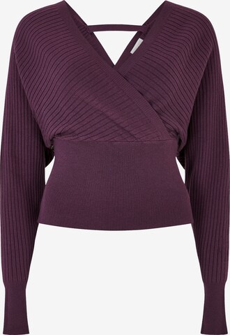 Apricot Sweater in Purple: front