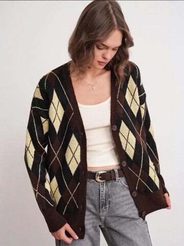 MixRay Knit Cardigan in Brown