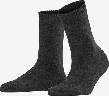 FALKE Socks 'Cosy Wool' in Grey: front