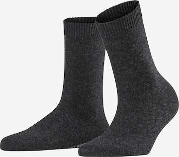 FALKE Sokken 'Cosy Wool' in Grijs: voorkant