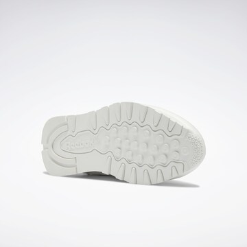 Baskets basses Reebok en blanc