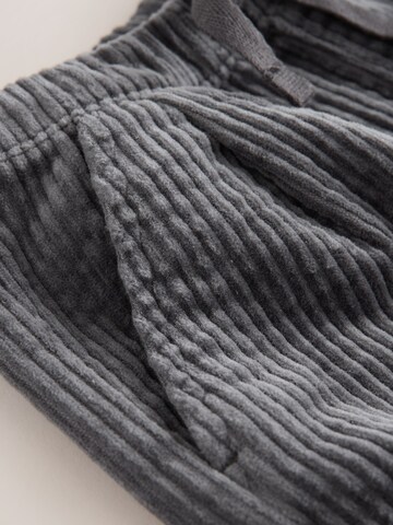 Next Regular Hose in Grau