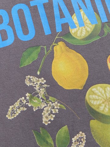 pelēks Next Sportisks džemperis 'Kew Gardens X Next Vitamin Fruit Summer'
