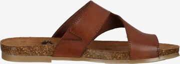 COSMOS COMFORT Mules in Brown