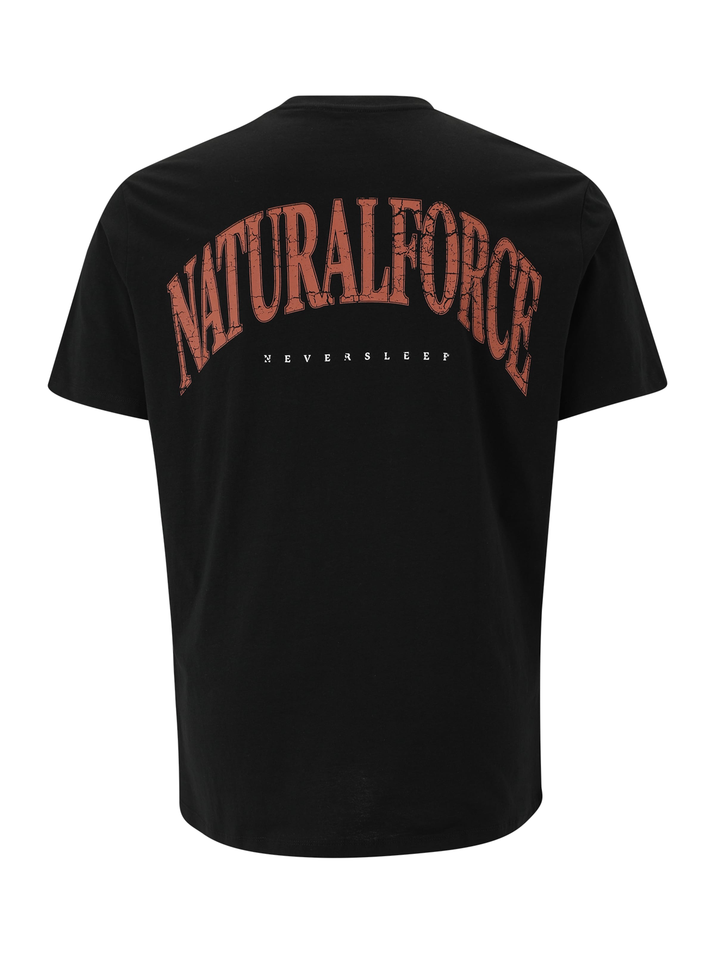 T-Shirt 'JOREAGLEROCK GALLERY' JACK & JONES en noir