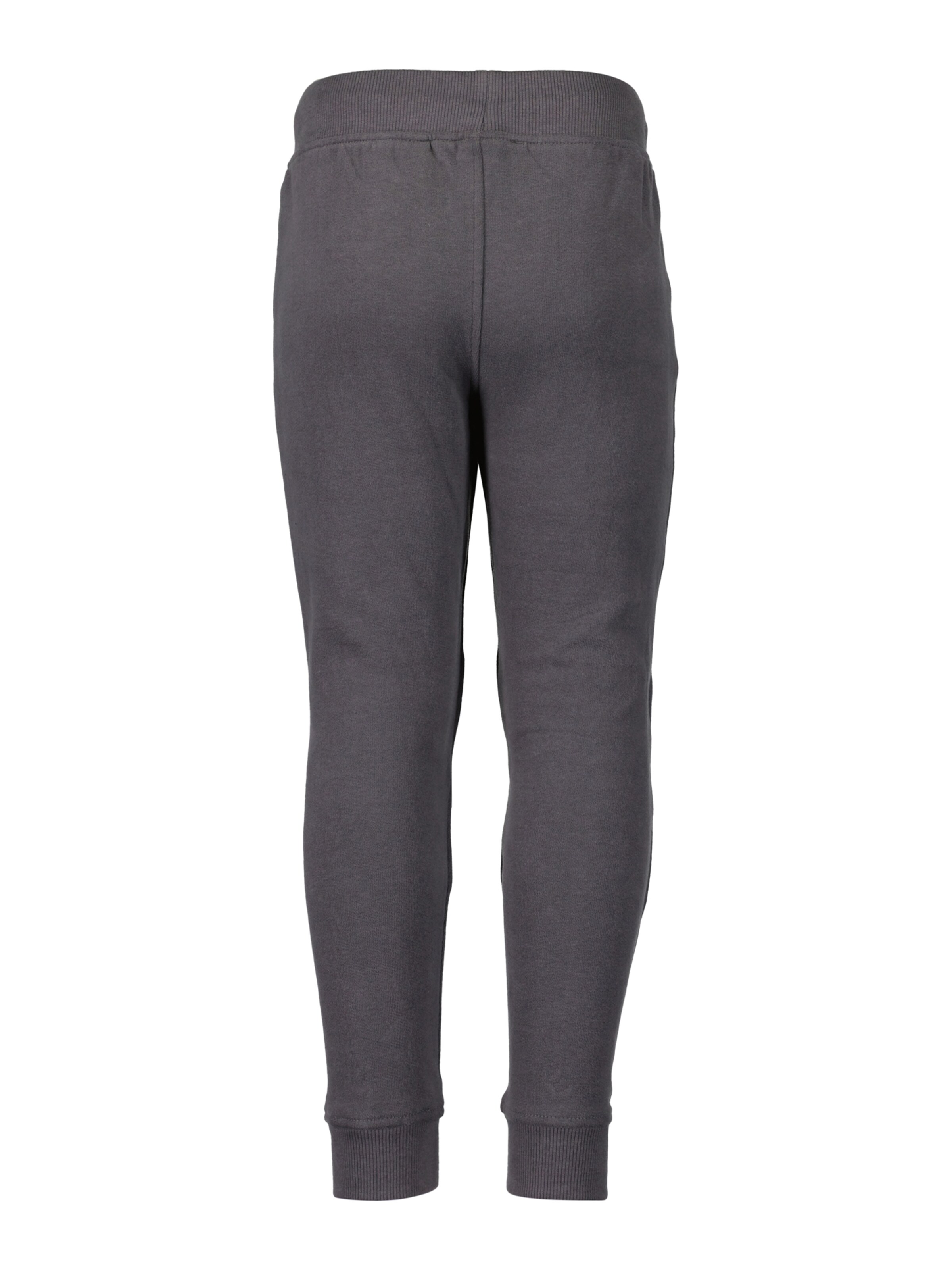 BLUE SEVEN Tapered Pants in Grey