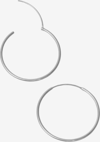 Boucles d'oreilles fejn en argent : devant