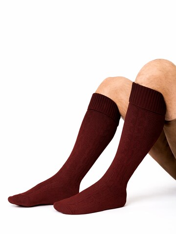 HerzSticht Traditional Socks 'Silberdistel' in Red