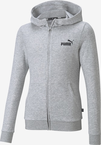 PUMA Zip-Up Hoodie 'Essentials' in Grey: front