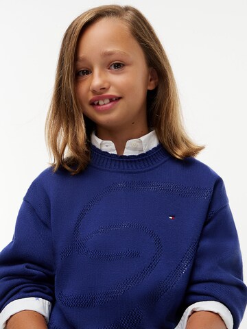 TOMMY HILFIGER Sweater in Blue