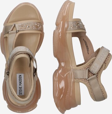 STEVE MADDEN Strap Sandals 'MAXIMAL' in Beige