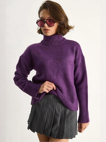 Pull-over 'Pullover' Bianco Lucci en violet : devant