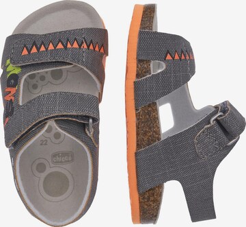 CHICCO Sandals & Slippers 'Francisco' in Grey